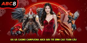 Đá gà casino campuchia ABC8 ảnh đại diện