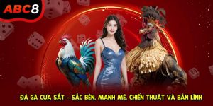 Đá gà cựa sắt ABC8 ảnh đại diện