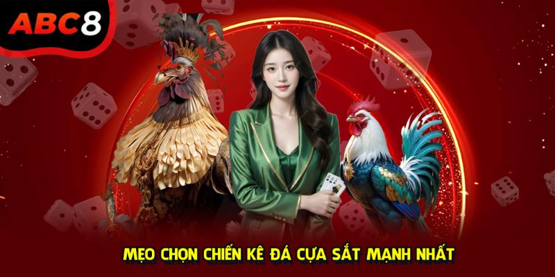 Mẹo chọn chiến kê đá cựa sắt mạnh nhất