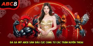 Đá gà Mỹ ABC8 ảnh dại diện