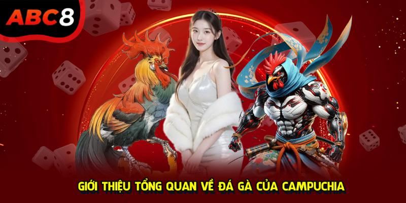 Giới thiệu tổng quan về Đá Gà của Campuchia