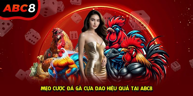 Mẹo cược đá gà cựa dao hiệu quả tại ABC8