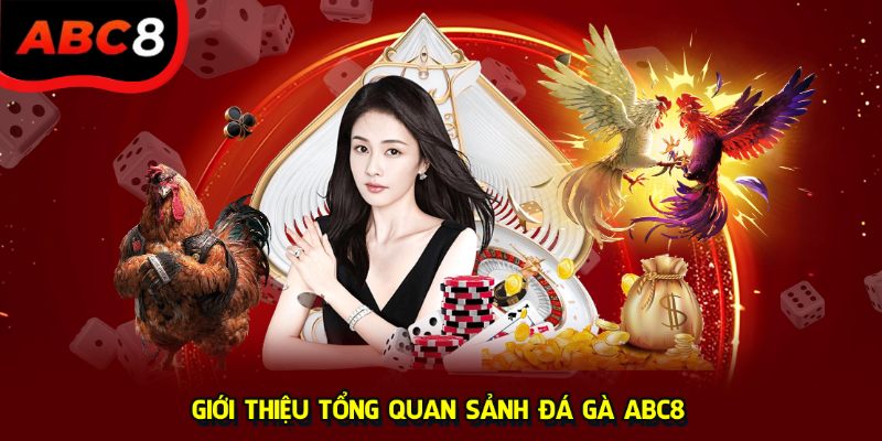 Giới thiệu tổng quan sảnh đá gà ABC8