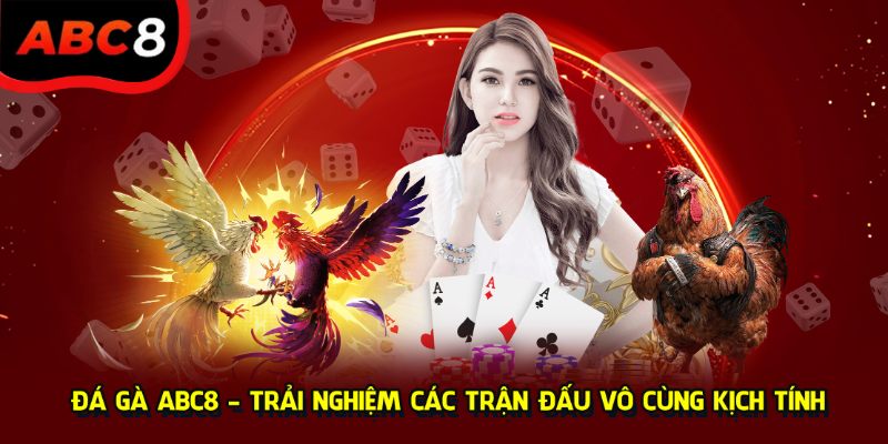 Trải nghiệm đấu trường kịch tính cung các chiến kê