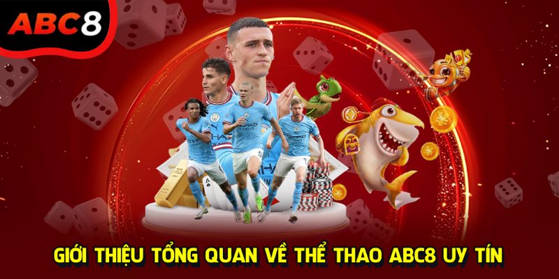 Giới thiệu tổng quan về thể thao ABC8 uy tín